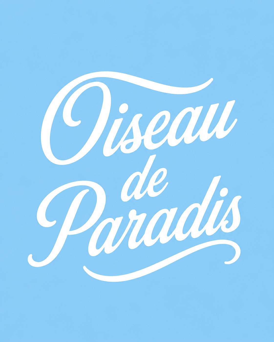 FONDANT OISEAU DE PARADIS